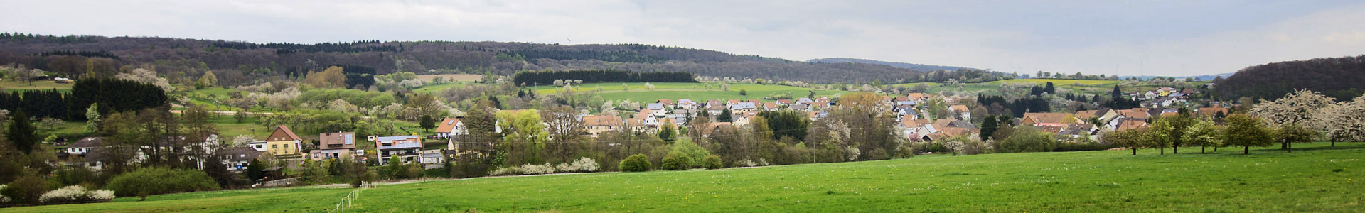 Panorama Ortsgemeinde Frohnhofen